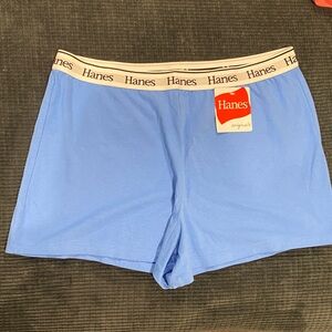 Hanes Women's Light Blue Casual Shorts